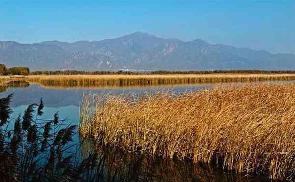 野鴨湖濕地公園 2019北京野鴨湖濕地公園門(mén)票價(jià)格+開(kāi)放時(shí)間+游玩項(xiàng)目