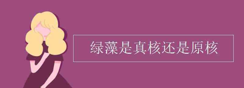 小球藻是真核還是原核 綠藻是真核還是原核