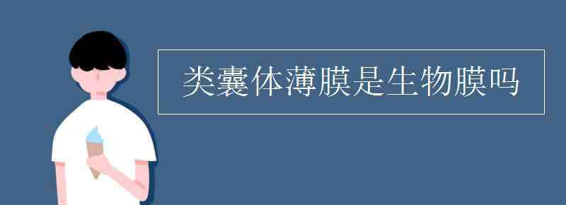 類囊體薄膜是生物膜嗎 類囊體薄膜是生物膜嗎