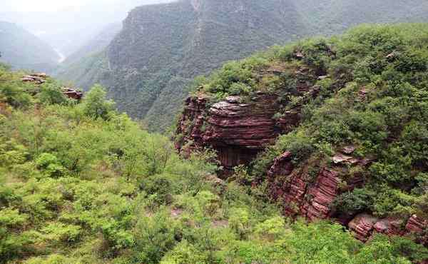 免門票的景區(qū) 景區(qū)免門票的原因和好處是什么