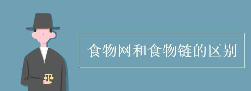 食物鏈和食物網(wǎng) 食物網(wǎng)和食物鏈的區(qū)別