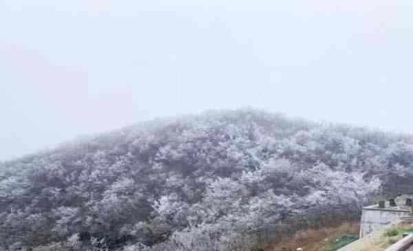 浙江下雪 2019-2020浙江下雪了嗎 浙江哪里看雪比較好