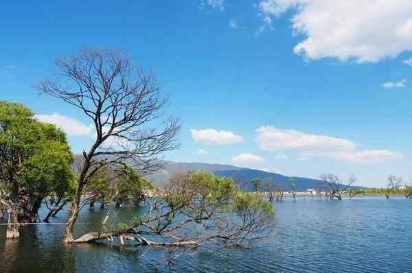 云南鶴慶旅游 鶴慶旅游攻略2020 鶴慶旅游游記