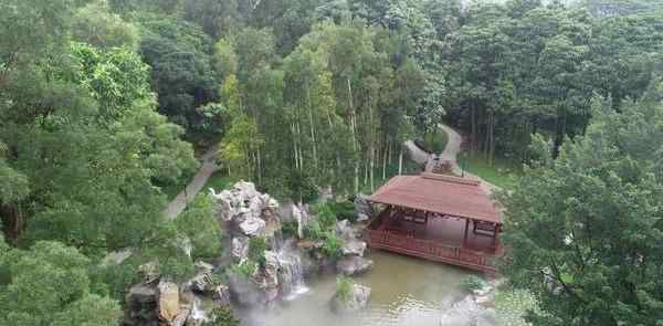 東莞植物園好玩嗎 東莞植物園景點(diǎn)介紹 東莞植物園有什么好玩的