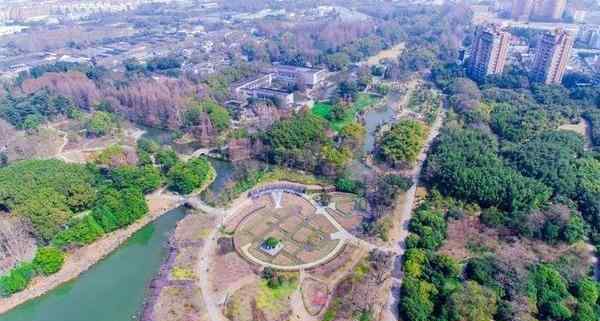 上海植物園 2020上海植物園開放時間及游玩攻略 上海植物園現(xiàn)在開放嗎