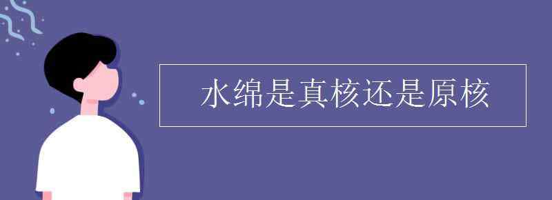 綠藻是真核還是原核 水綿是真核還是原核