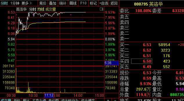 795 今日漲停個股英洛華(000795）揭秘