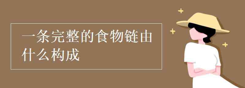 生物鏈指的是什么 一條完整的食物鏈由什么構(gòu)成