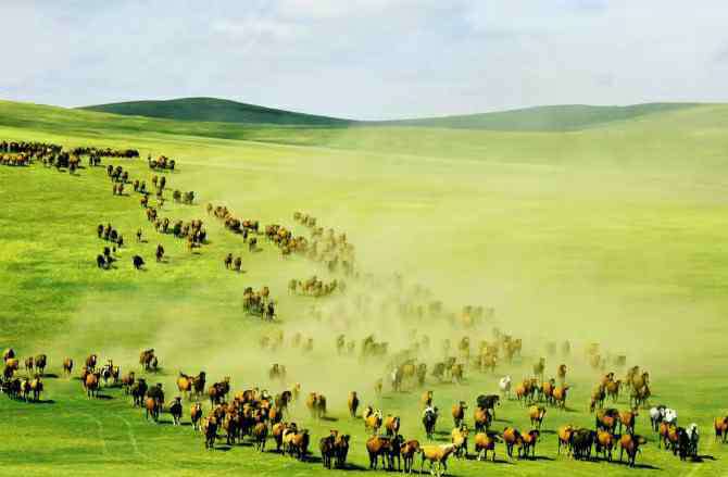 呼倫貝爾旅游局 呼倫貝爾旅游攻略——小楠竭誠為您服務(wù)