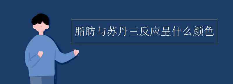 蘇丹三檢驗(yàn)脂肪顏色 脂肪與蘇丹三反應(yīng)呈什么顏色