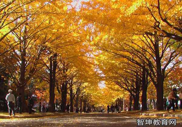 河北省大學排名一覽表 河北省地區(qū)大學名單排名一覽,一本大學有哪些學校