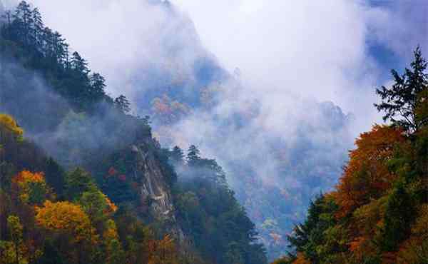 唐家河紅葉 青川唐家河紅葉節(jié)幾月份 附2019年唐家河紅葉節(jié)10月25日開幕信息