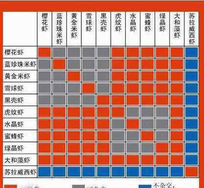 黑殼蝦繁殖 黑殼蝦的雜交圖譜以及一些常見問題