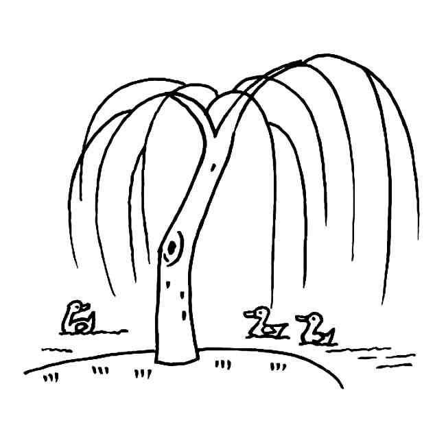 柳樹的簡筆畫 河邊柳樹簡筆畫圖片