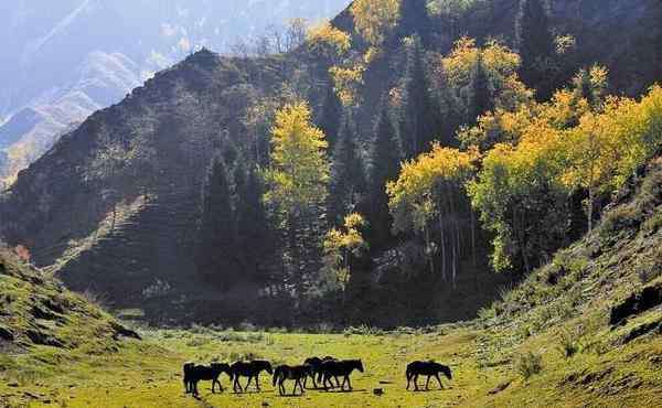 東天山 東天山在什么地方 東天山有什么好玩的