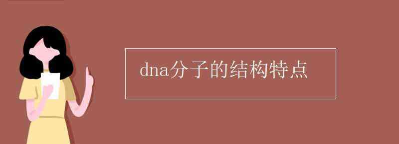 dna分子結(jié)構(gòu)特點(diǎn) dna分子的結(jié)構(gòu)特點(diǎn)