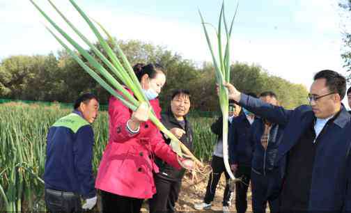 長子營 大興長子營鎮(zhèn)“五村聯(lián)營”增強集體經濟“造血功能”