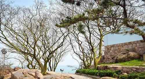 青島小青島 青島小青島公園門票多少 門票+開放時間