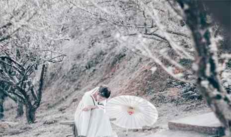 廣州蘿崗香雪公園 2018~2019廣州蘿崗香雪公園梅花花期