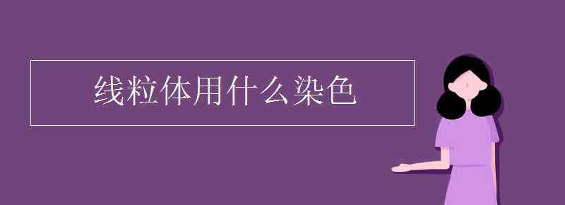 線粒體用什么染色 線粒體用什么染色