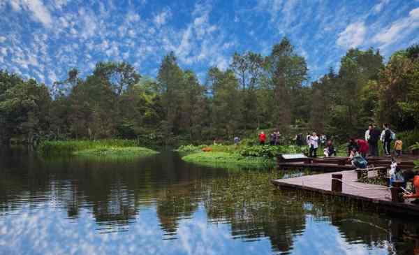 海珠濕地公園 2020廣州海珠國家濕地公園門票天氣及景點介紹