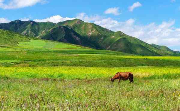 扁都口 2020扁都口生態(tài)休閑旅游景區(qū)景區(qū)旅游攻略 扁都口生態(tài)休閑旅游景區(qū)景區(qū)門票價格