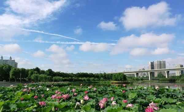 孝感槐蔭 2020孝感槐蔭公園門票交通及景區(qū)介紹