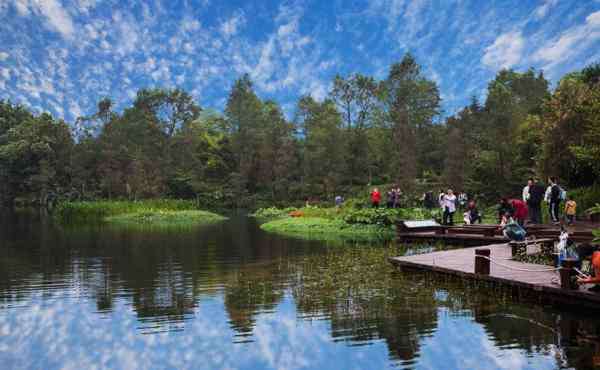 海珠濕地公園 2020廣州海珠國家濕地公園門票天氣及景點(diǎn)介紹