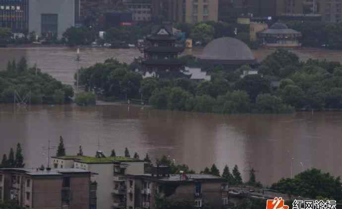 湖南暴雨現(xiàn)豬堅(jiān)強(qiáng) 湖南暴雨現(xiàn)豬堅(jiān)強(qiáng)一夜爆火 "二師兄"趴石頭上躲洪水"穩(wěn)如泰山"