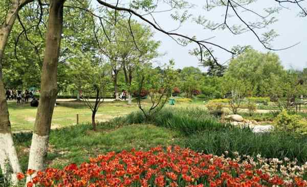 合肥植物園 2020安徽合肥植物園門票交通天氣 合肥植物園旅游攻略