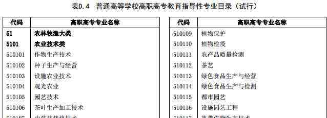 院校代號查詢 院校代碼和專業(yè)代碼從哪里獲得怎么查