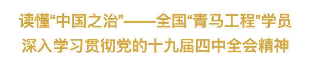 中國之治 “中國之治” 為什么行？