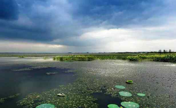 梁子湖區(qū) 2020梁子湖區(qū)地址景點(diǎn)及游玩攻略