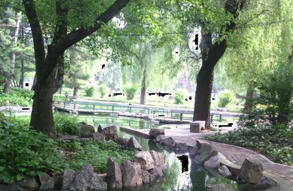 江南公園 2020年江南公園旅游攻略 江南公園怎么樣