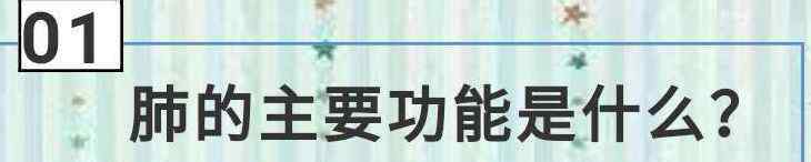 正常肺和肺癌圖片 肺癌科普知識(shí) 通俗易懂 圖文并茂【請(qǐng)轉(zhuǎn)發(fā)】