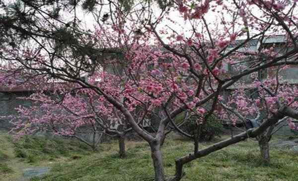 北京文博交流館 北京文博交流館游玩攻略+門(mén)票+開(kāi)放時(shí)間