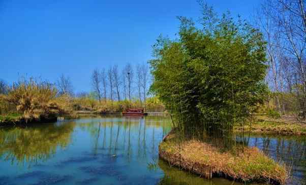 泰州溱湖 2020泰州溱湖國家濕地公園門票交通和景點介紹