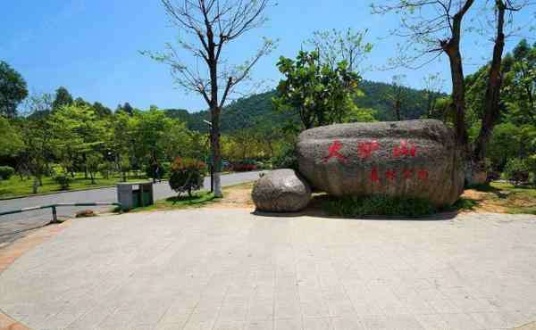 廣州火爐山森林公園 2020火爐山森林公園門票地址開放時間及游玩攻略