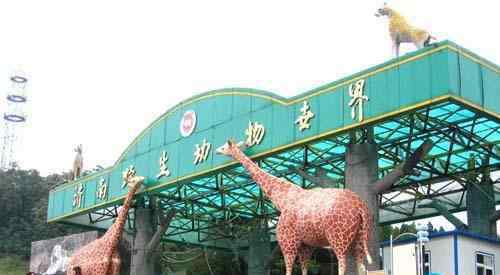 濟(jì)南野生動(dòng)物園門(mén)票 濟(jì)南野生動(dòng)物園門(mén)票價(jià)格+優(yōu)惠政策+購(gòu)票方式