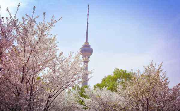 北京玉淵潭公園 2020玉淵潭公園門票價格及景點介紹-櫻花花期