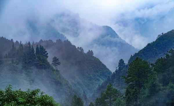 黑山谷一日游 2020重慶黑山谷旅游攻略 重慶黑山谷自助游 重慶黑山谷門票交通景點(diǎn)介紹