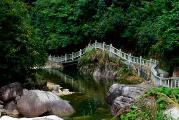 韶關森林公園 2020南嶺國家森林公園門票開放時間及景點介紹