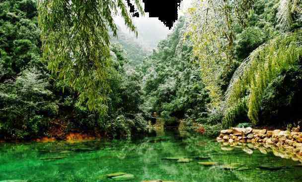 東坡森林公園 2020鎮(zhèn)江南山國(guó)家森林公園門票及景點(diǎn)介紹