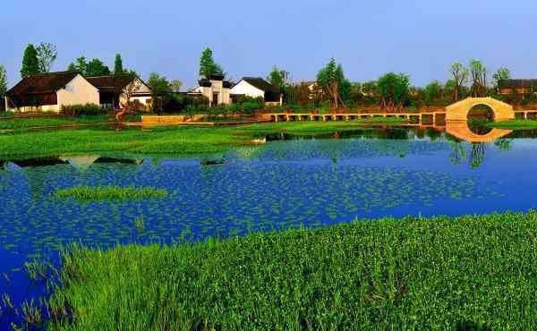 西溪濕地圖片 杭州西溪濕地公園圖片 實(shí)拍實(shí)景