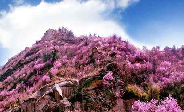 大珠山門票 2020大珠山風(fēng)景區(qū)開放時間 門票預(yù)約和優(yōu)惠政策