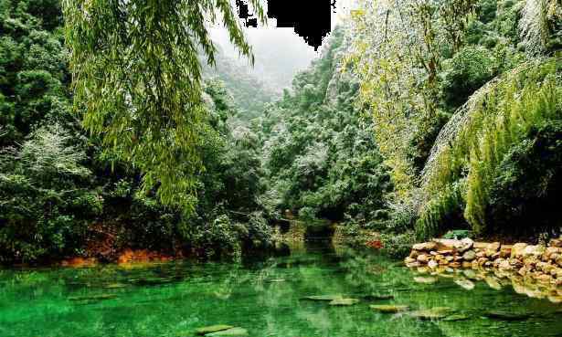 鐵山寺國(guó)家森林公園 2020鐵山寺國(guó)家森林公園門票交通及景點(diǎn)介紹