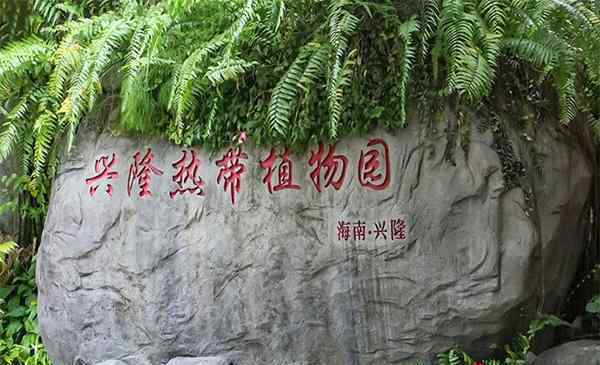 興隆熱帶植物園 興隆熱帶植物園游玩攻略