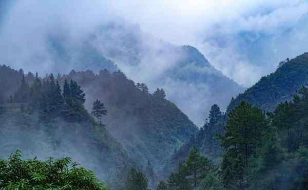 黑山谷一日游 2020重慶黑山谷旅游攻略 重慶黑山谷自助游 重慶黑山谷門票交通景點介紹