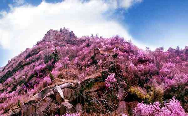 大珠山門票 2020大珠山風(fēng)景區(qū)開放時(shí)間 門票預(yù)約和優(yōu)惠政策