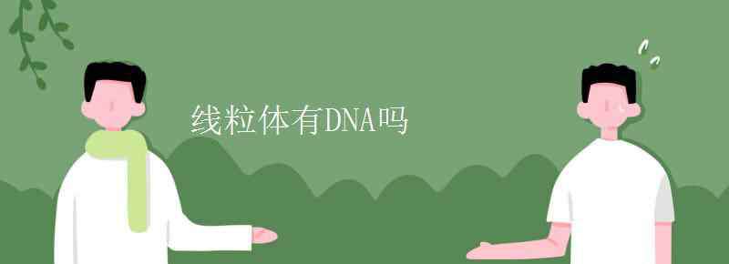 線粒體dna 線粒體有DNA嗎